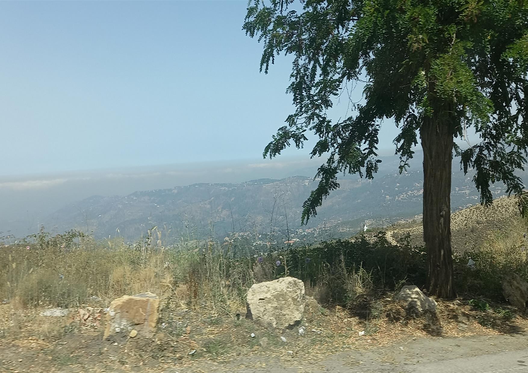 Sweef soos ’n Arend